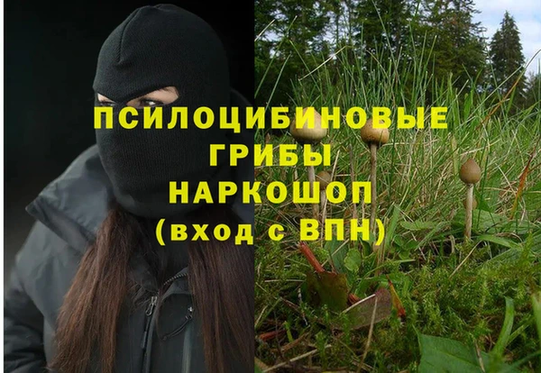 apvp Бронницы